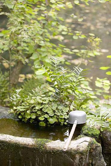 The Soothing Sound of Water (alt)